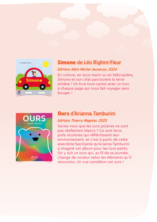 Agrandir l'image (fenêtre modale)