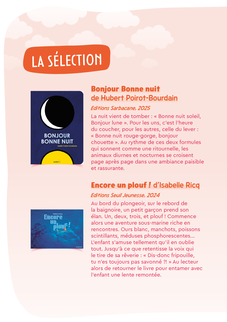 Agrandir l'image (fenêtre modale)